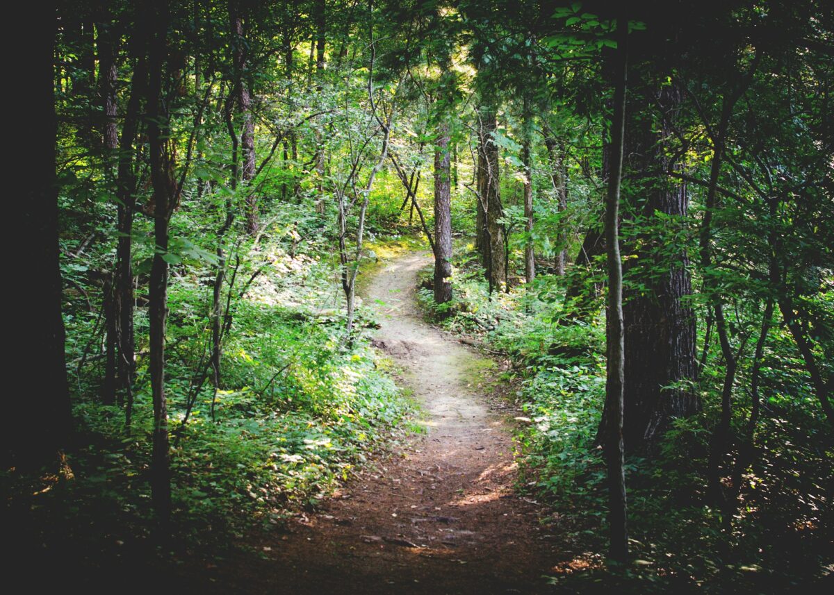 Frayer un chemin